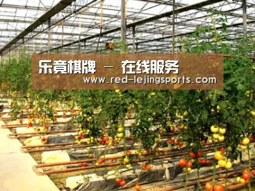 种植基地二