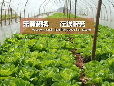 种植基地五