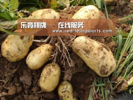 种植基地六