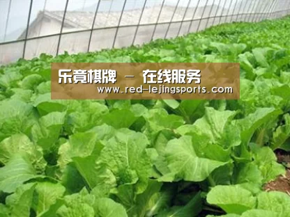 种植基地一