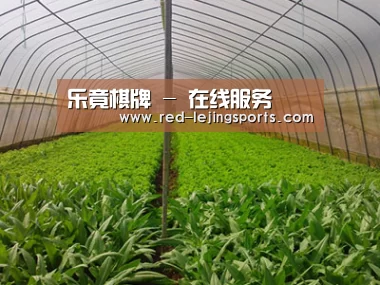 种植基地四