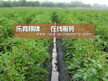 种植基地三