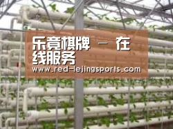 环境展示六