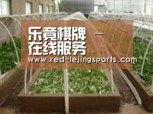 环境展示五