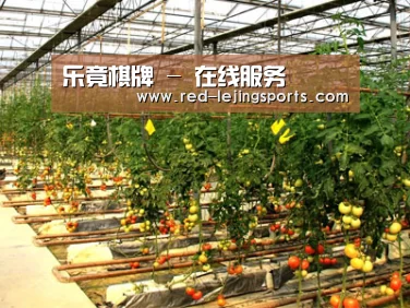 种植基地二(图1)