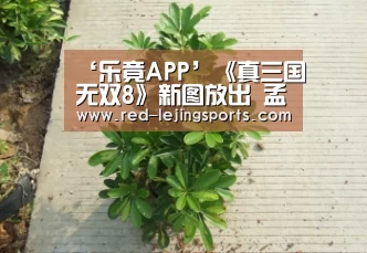 乐竟