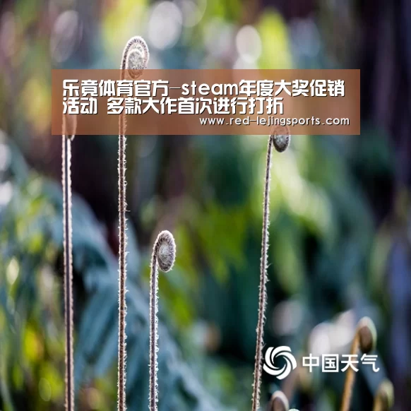 乐竟体育官方-steam年度大奖促销活动 多款大作首次进行打折(图4) 乐竟