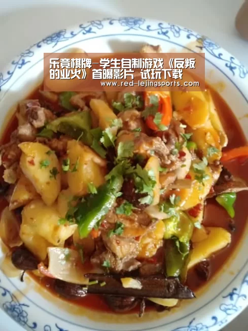 乐竟棋牌-学生自制游戏《反叛的业火》首曝影片 试玩下载(图3) 乐竟APP