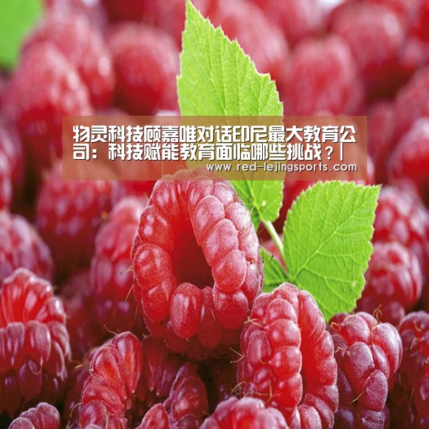 物灵科技顾嘉唯对话印尼最大教育公司:科技赋能教育面临哪些挑战?|全球AI+智适应教育峰会-乐竟棋牌(图1) 乐竟APP
