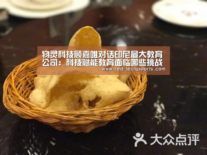 物灵科技顾嘉唯对话印尼最大教育公司:科技赋能教育面临哪些挑战?|全球AI+智适应教育峰会-乐竟棋牌(图2) 乐竟