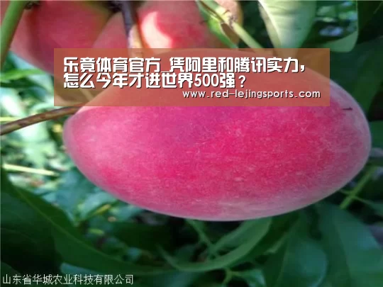 乐竟体育官方_凭阿里和腾讯实力,怎么今年才进世界500强?(图4) 乐竟棋牌